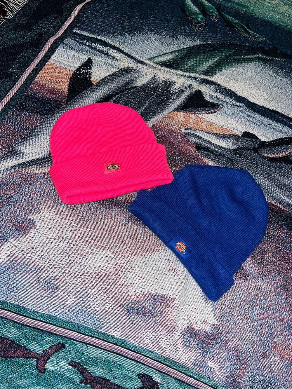 Dickies Cuffed Knit Beanie Royal Blue and hot pink
